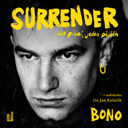 Bono - Surrender (audiokniha) plakát